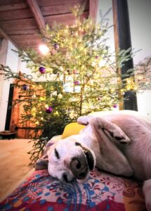 zum Relaxen ist immer Zeit!
